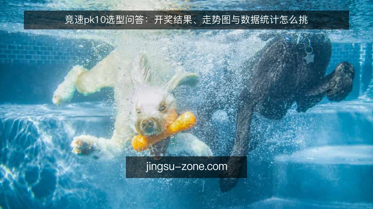 竞速pk10选型问答:开奖结果、走势图与数据统计怎么挑